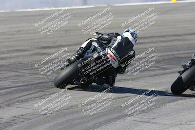 media/Feb-04-2024-SoCal Trackdays (Sun) [[91d6515b1d]]/4-Bowl Backside (11am)/